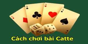 cách chơi bài catte