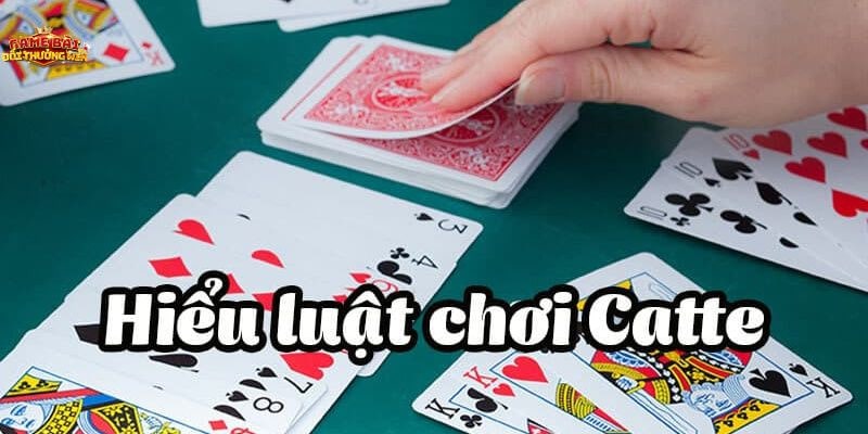 Cách chơi bài Catte cơ bản