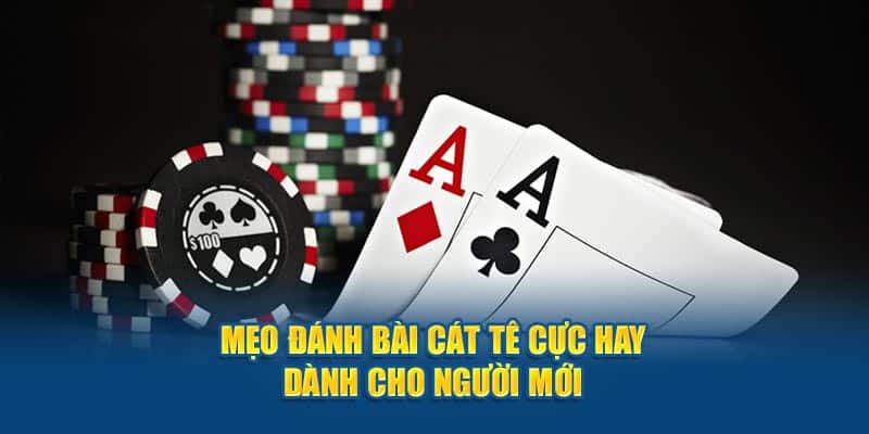 Những mẹo trong cách chơi bài Catte hay nhất mà bạn phải biết