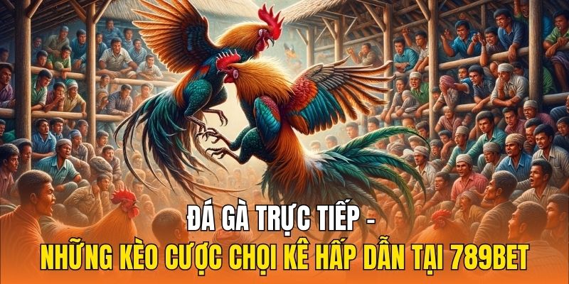 đá gà trực tiếp