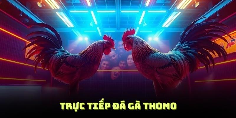 trực tiếp đá gà thomo